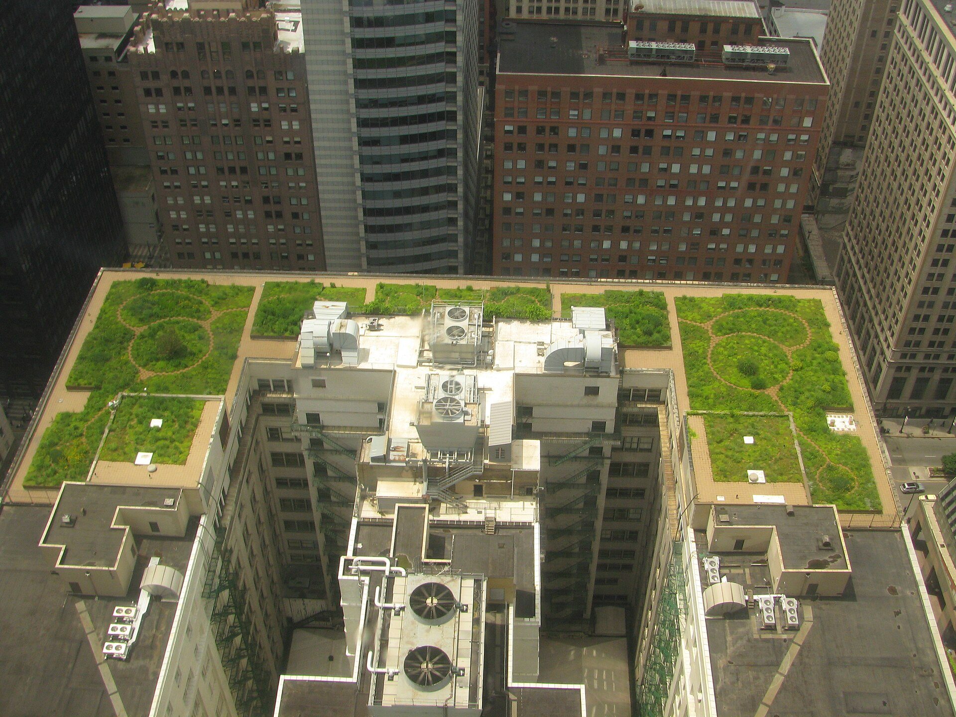 Green roof planted on top of a city office building